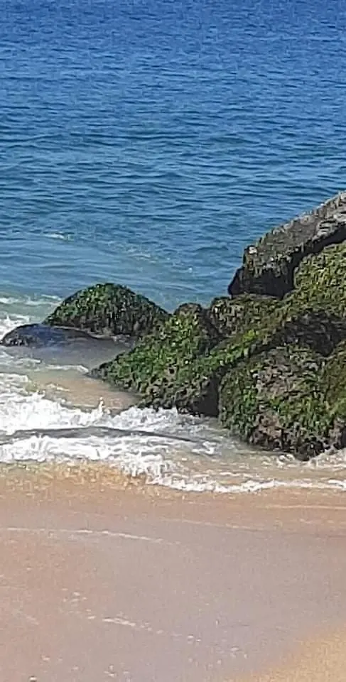 Sea Castle Beach Homestay Kollam Índia